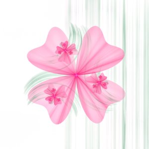 Flower Pink Petal Cut Flowers