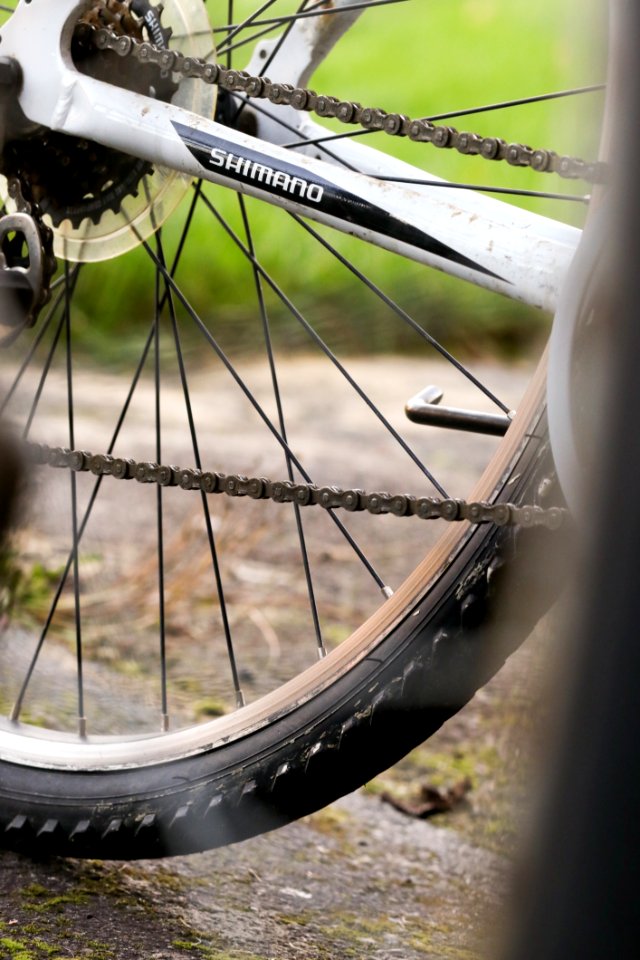 Bicycle Wheel Road Bicycle Bicycle Wheel
