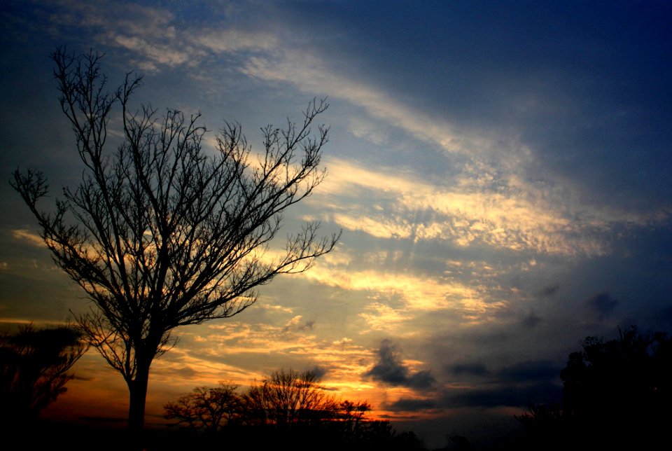 Sky Cloud Nature Tree