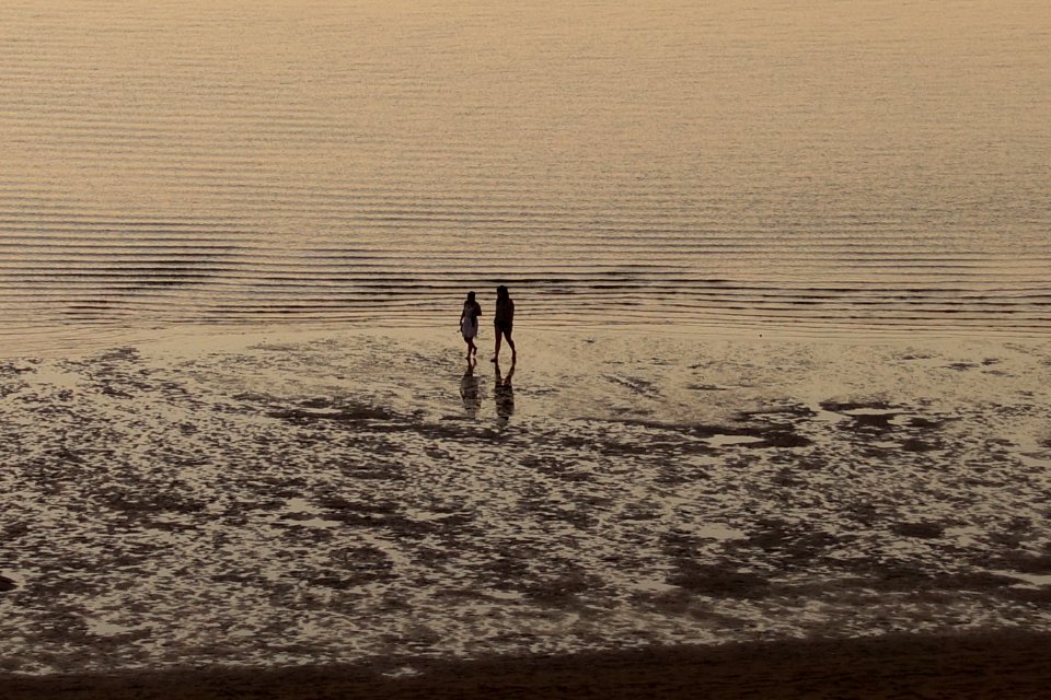 Sea Body Of Water Water Beach