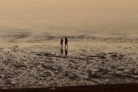 Sea Body Of Water Water Beach