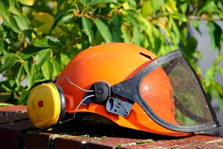 Helmet Personal Protective Equipment Grass Plant