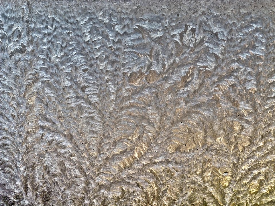 Frost Pattern Texture Grass