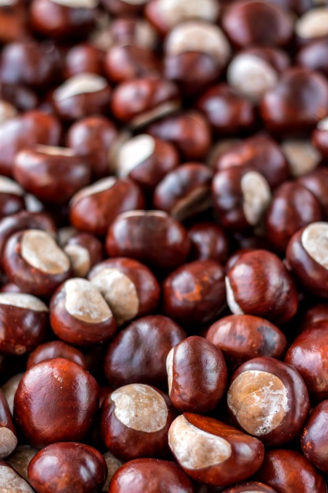 Chestnut Nuts amp Seeds Nut Superfood