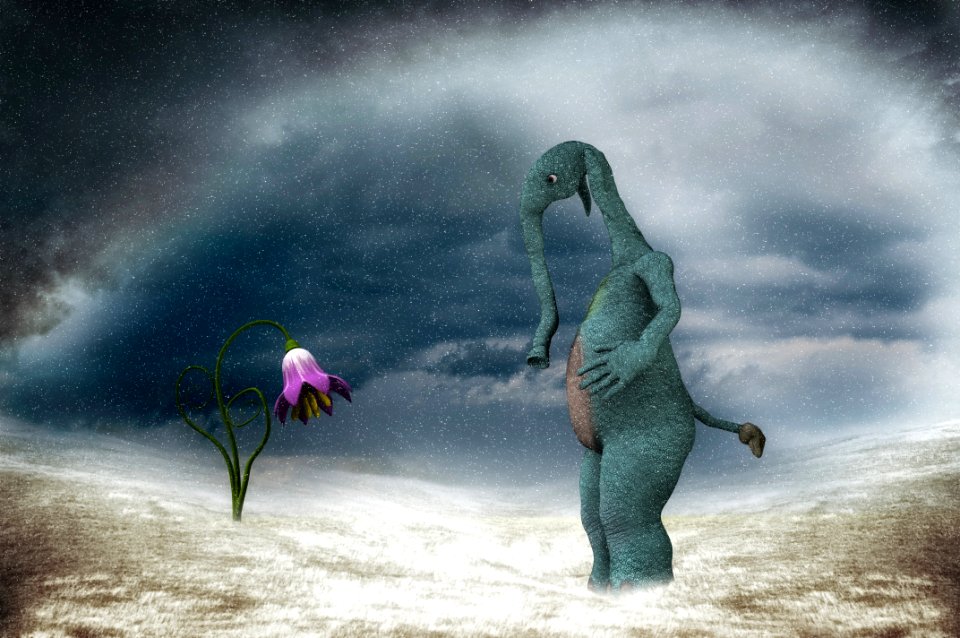Phenomenon Sky Organism Freezing