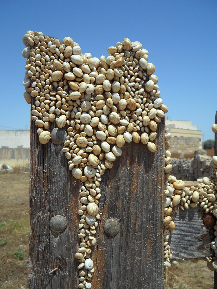 Plage snail plague fence