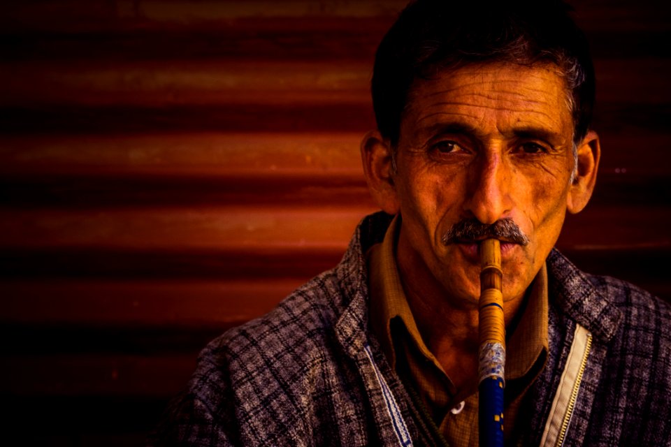Human Facial Hair Portrait
