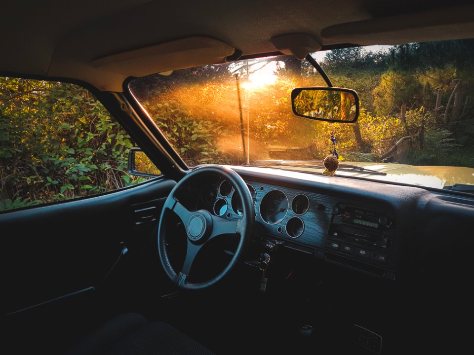 Photo Of Vehicle Interior Near Green Leaf Plants