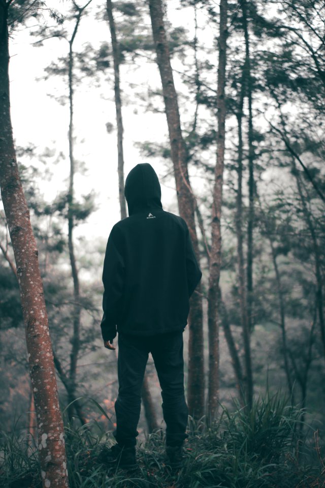 Man Wearing Black Hoodie With Black Pants Standing In The Middle Of Forest photo