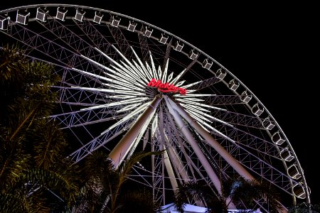 Ferris Wheel Tourist Attraction Amusement Ride Amusement Park
