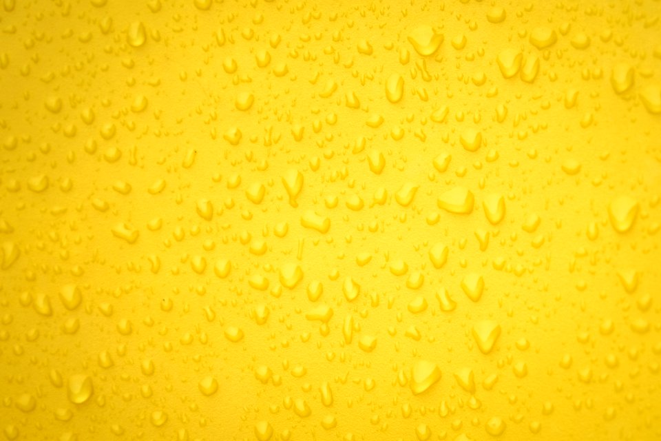 Yellow Texture Macro Photography Commodity
