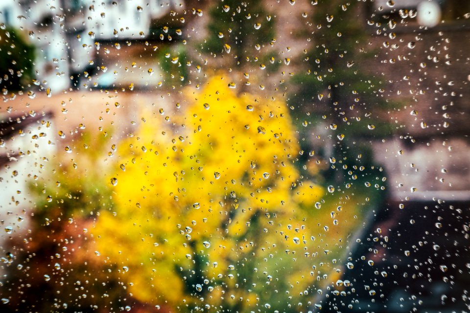 Nature Yellow Sky Water