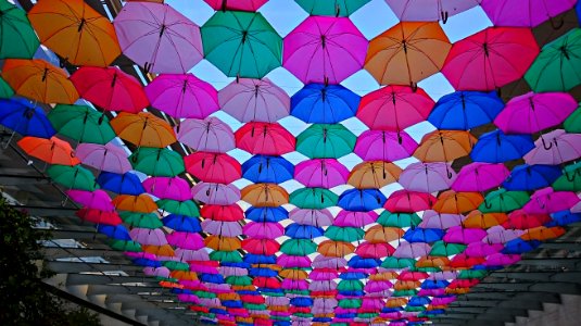 Symmetry Umbrella photo