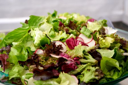 Dish Salad Food Leaf Vegetable photo