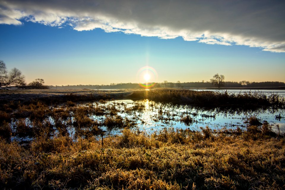 Sky Wetland Reflection Marsh