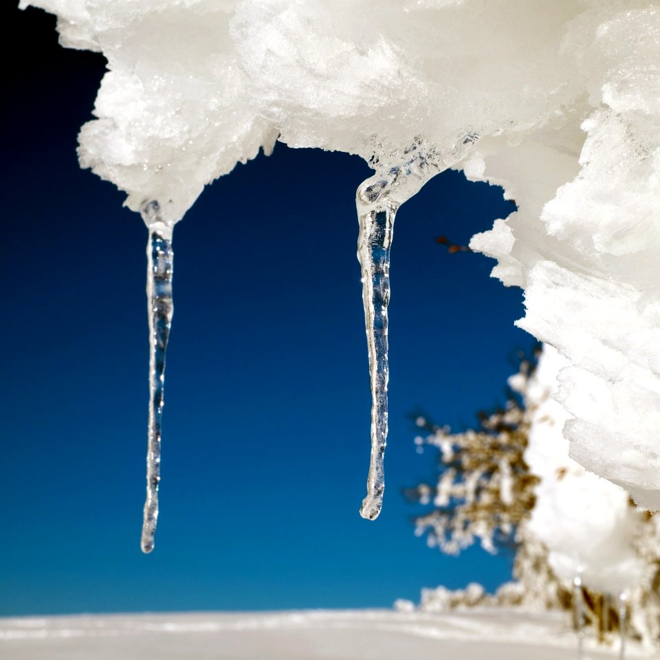Freezing Icicle Ice Winter