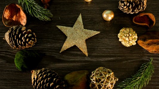 Christmas Decoration Still Life Photography Still Life Christmas Ornament