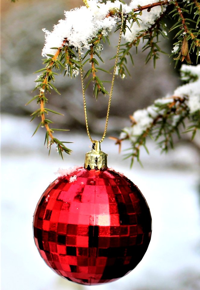 Christmas Ornament Christmas Decoration Christmas Tree