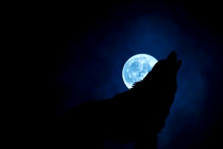 Moon Moonlight Sky Night