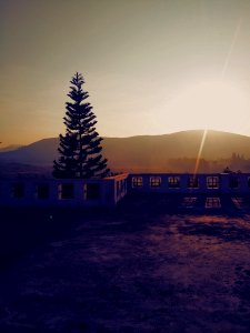 Concrete Bench Near Pine Tree Background Of Mountain During Sunset