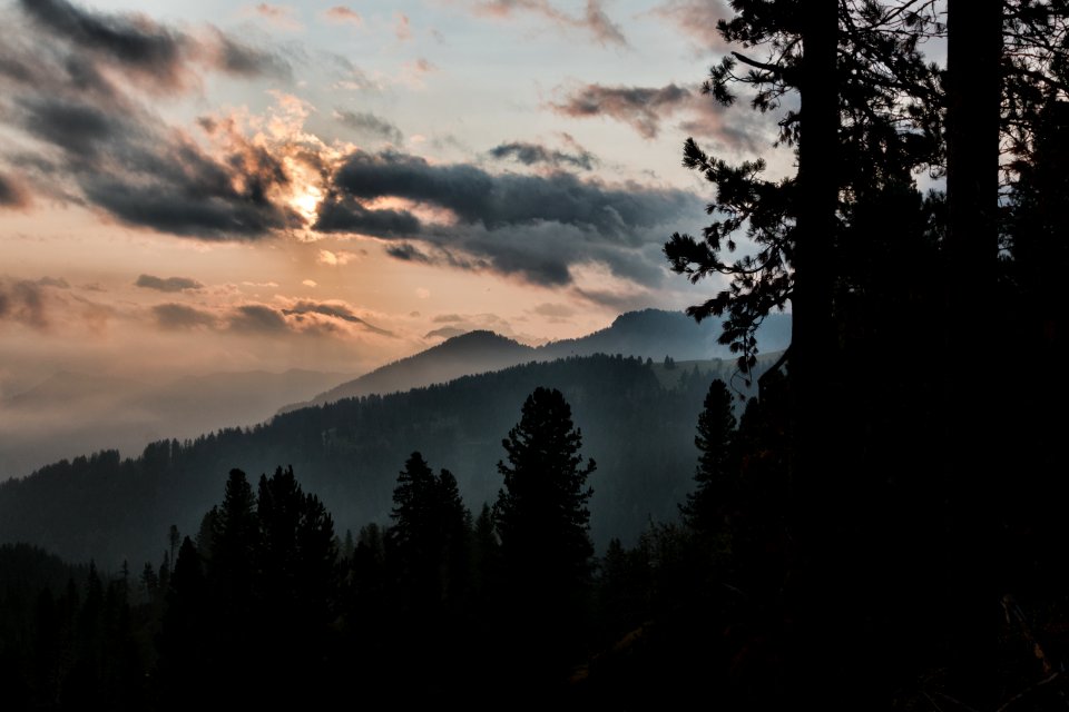 Silhouette Of Tall Trees Near Mountain