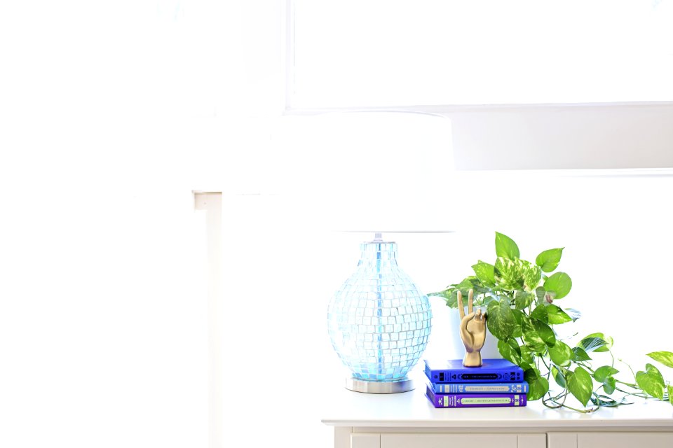 White Table Lamp On Sideboard Near Plant And Books