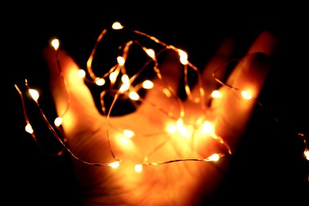 Person Holding String Lights photo