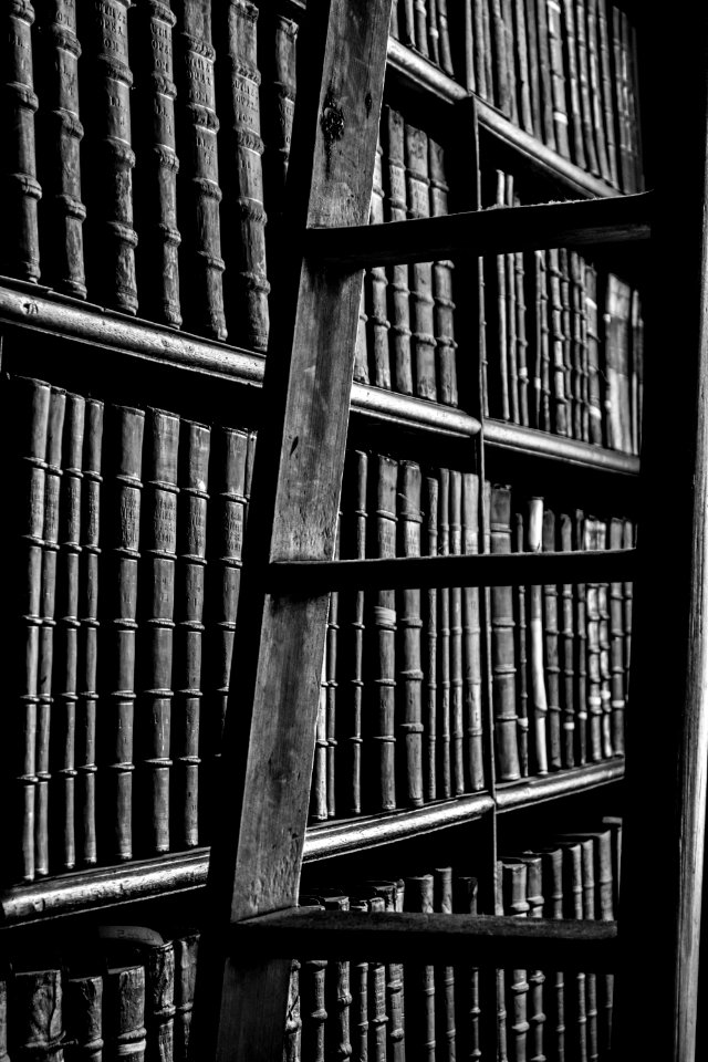 Grayscale Photography Of Ladder Near Bookshelf photo