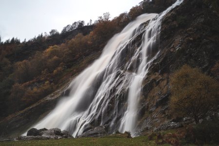 Waterfalls Between Brown Trees
