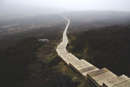 Brown Wooden Stairs On Body Of Mountain