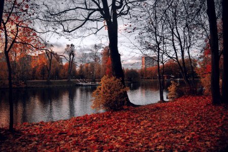 Photography Of Trees Near River During Fall photo