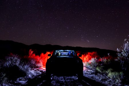 Vehicle On Road Along Green Grass During Night