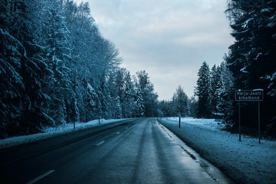 Gray Asphalt Road Between Trees Covered By Snows