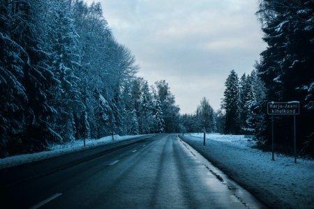 Gray Asphalt Road Between Trees Covered By Snows photo