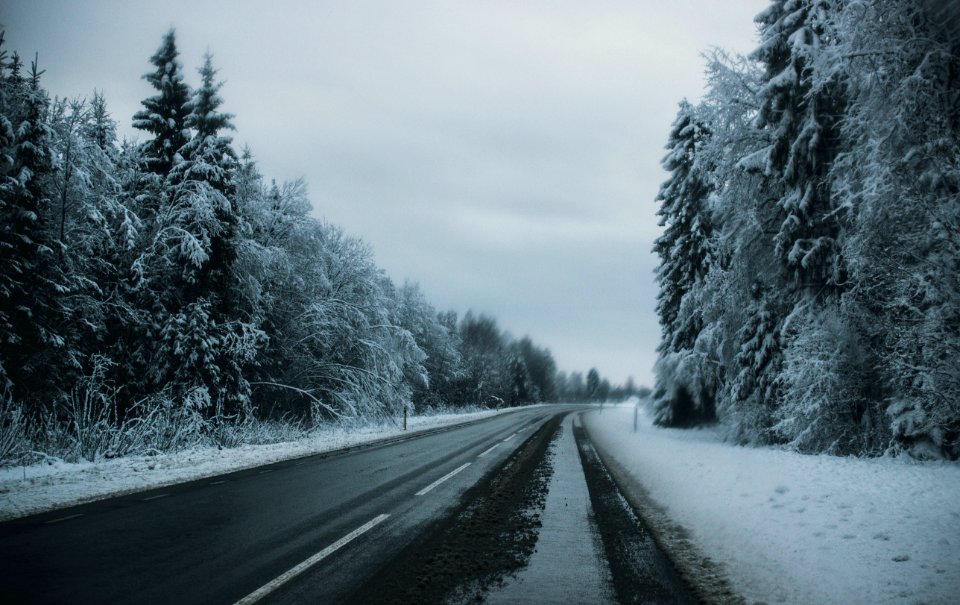 Gray Pave Road Between Tall Trees Covered On Snow photo