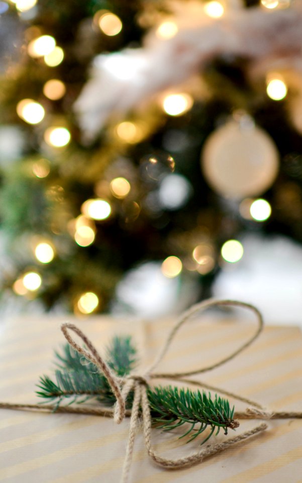 Green Pine Leaves With Brown Rope