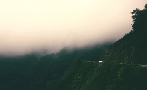 Mountain Surrounded By Trees Covered By Fog