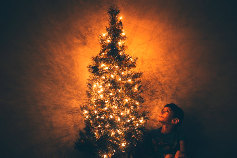 Boy Beside Christmas Tree Illustration