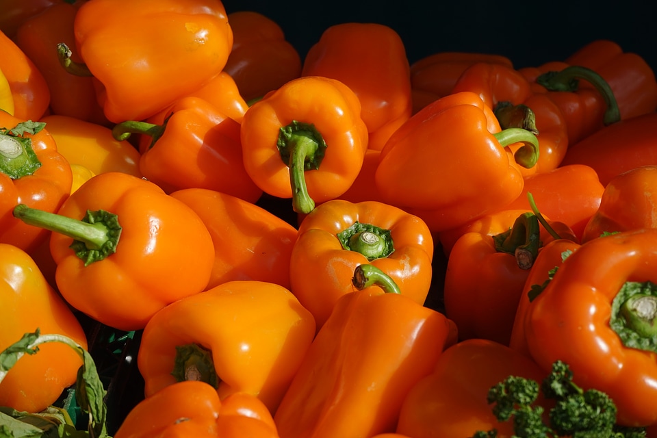Red pepper food capsicum