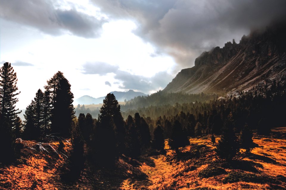 Silhouette Of Mountain Hill With Pine Trees Under White Cloud Blue Sky photo