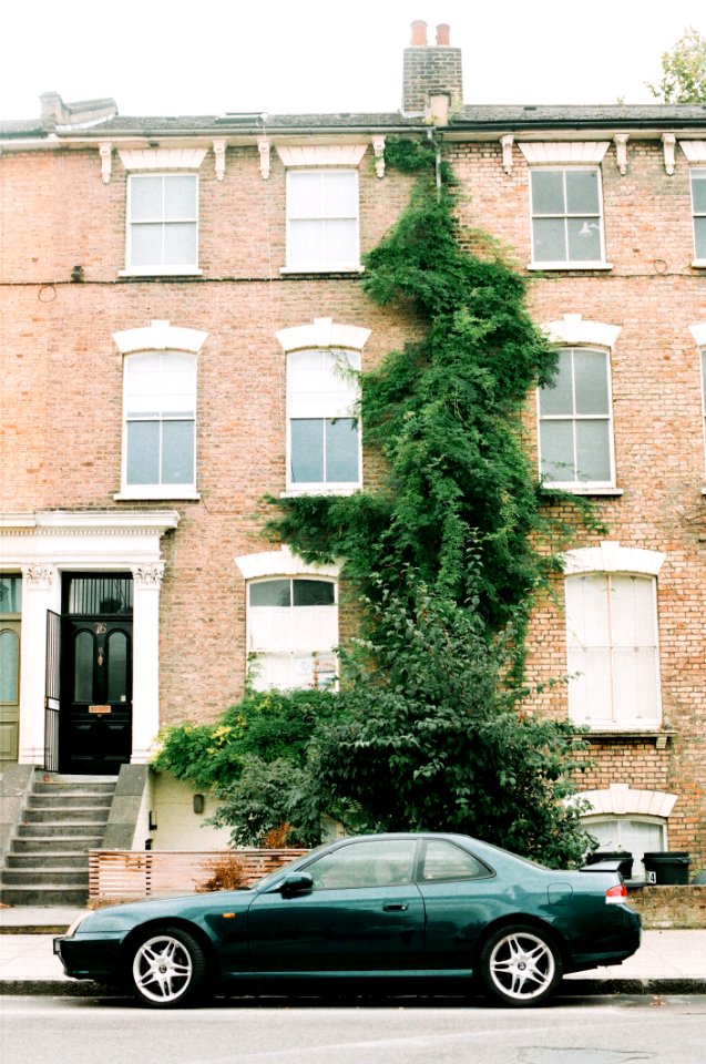 Brown And White Concrete Apartment And Green Ivy Plants