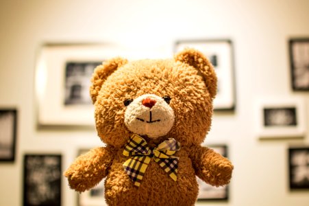 Brown Bear Plush Toy photo