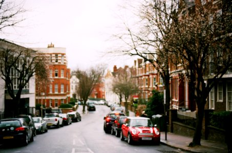 Red Mini Cooper Parked Near Brown Tree photo