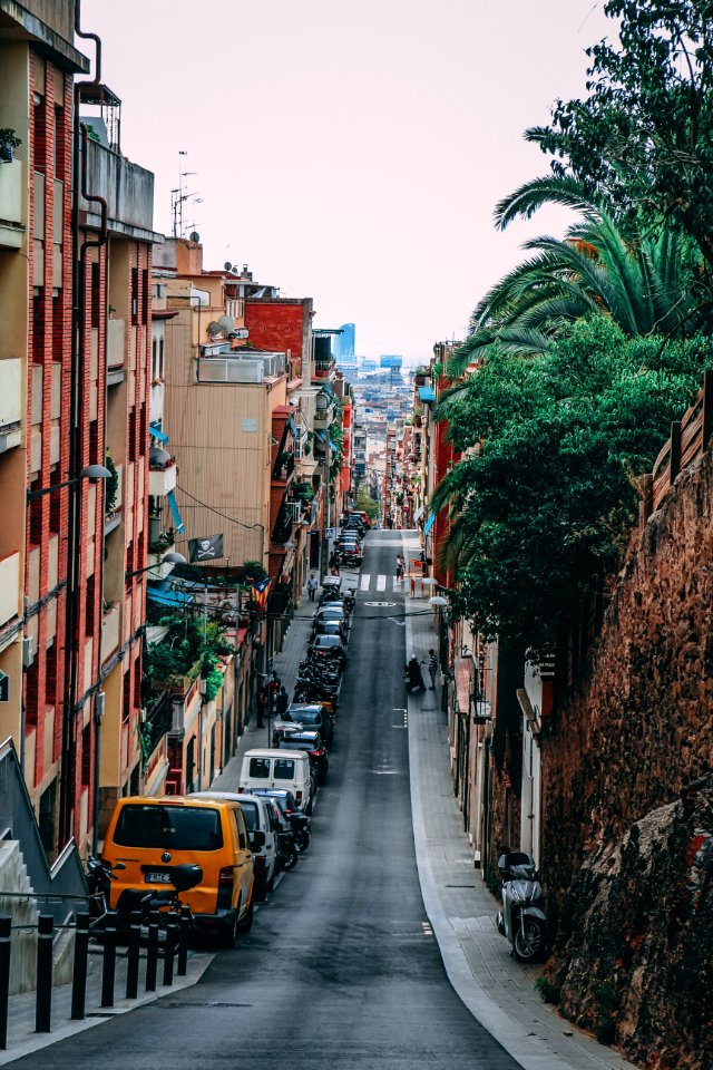 Road Between Buildings photo