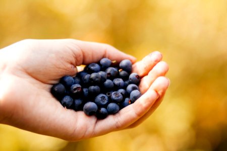 Selective Focus Photography Of Blueberry On Human Hand photo