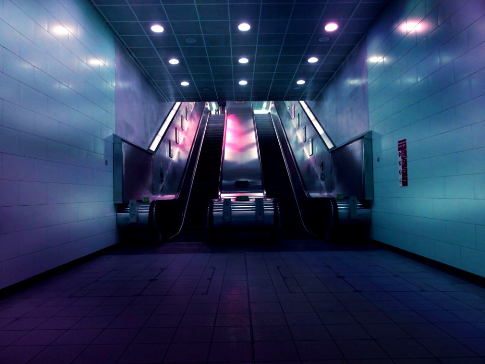 Landscape Photo Of Two Escalators