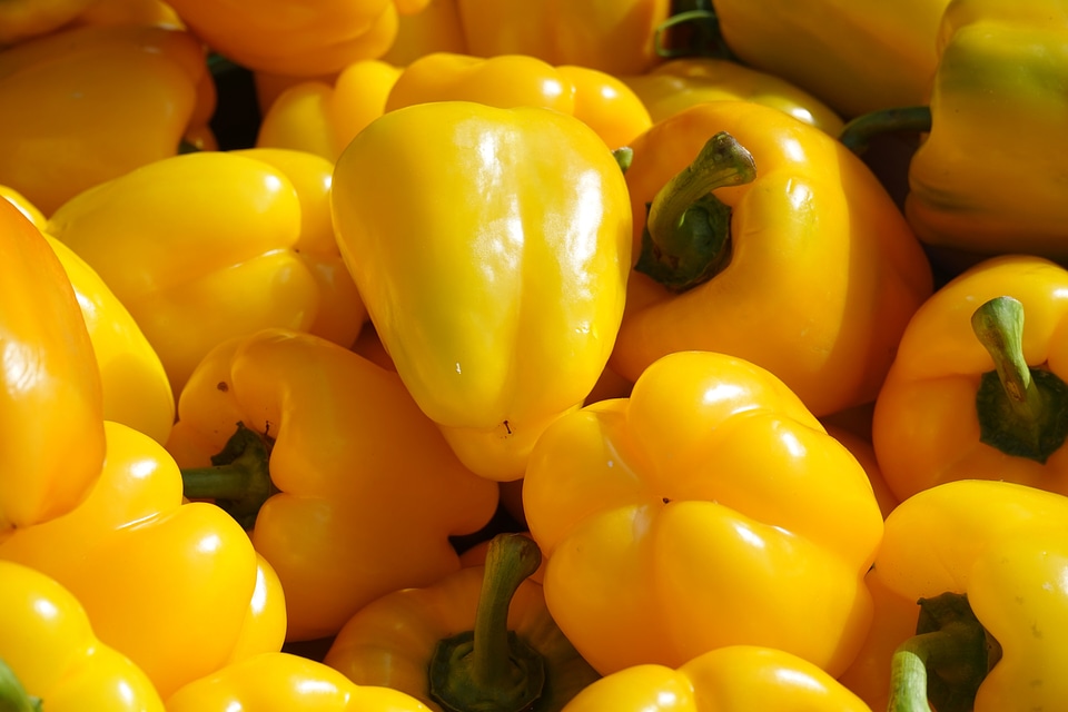 Red pepper food capsicum
