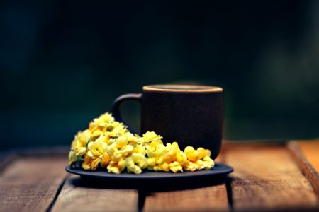 Cup And Flowers On Saucer Plate photo