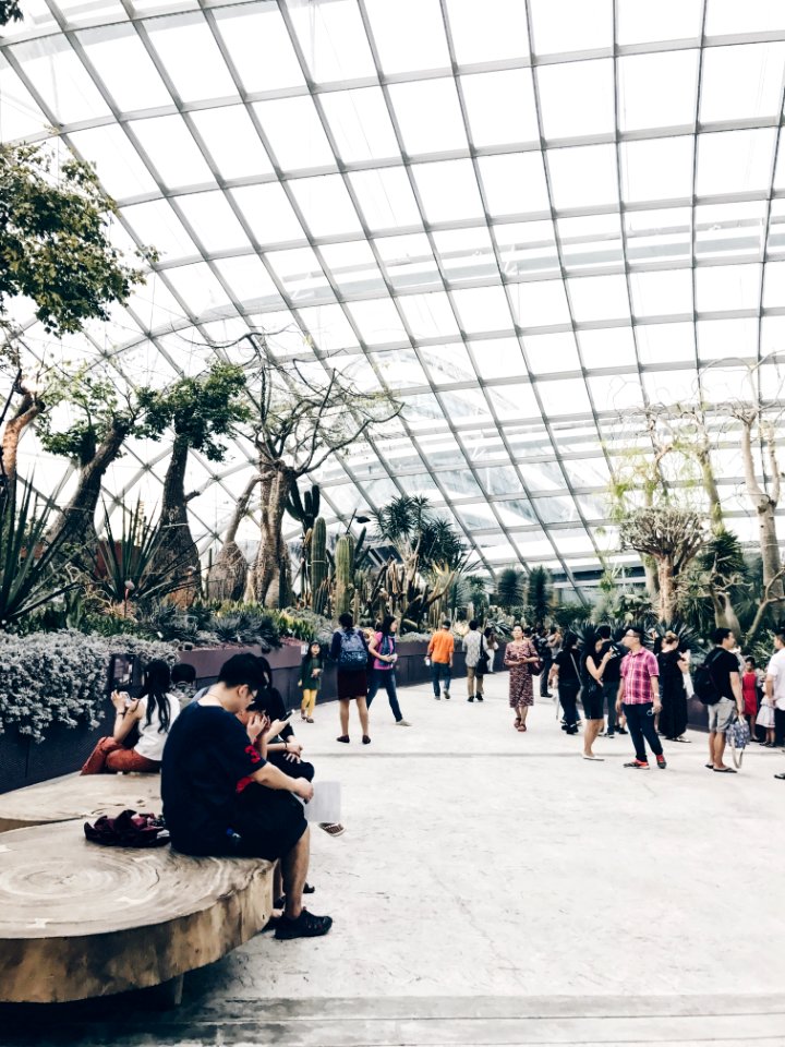 Glass Roofed Building