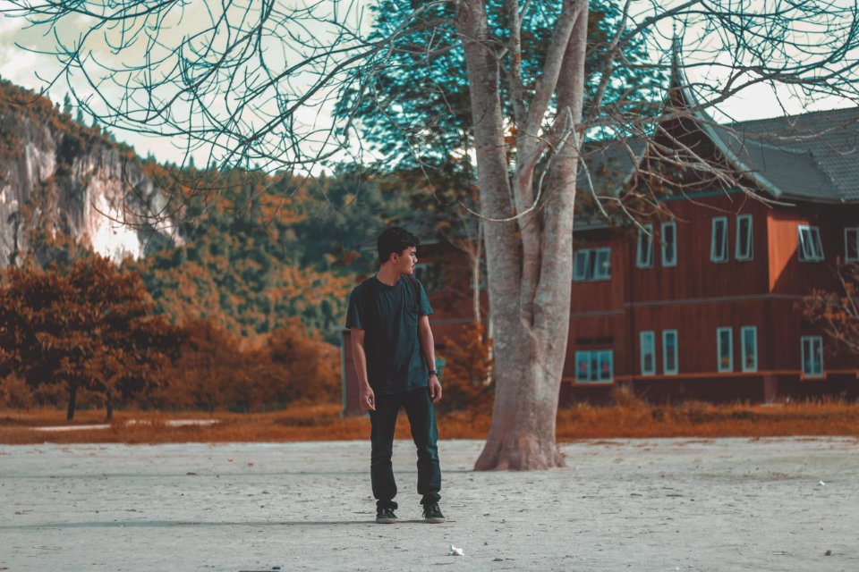 Man In Blue Crew Neck Shirt Standing Behind Brown Tree